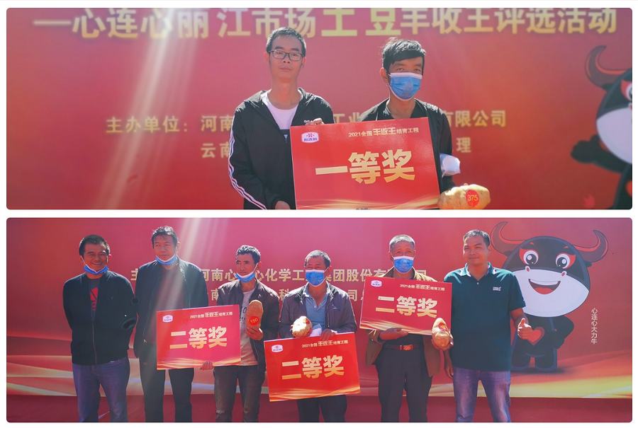喜迎豐收，薯王爭霸！——心連心麗江市場土豆豐收王評(píng)選活動(dòng)成功舉行